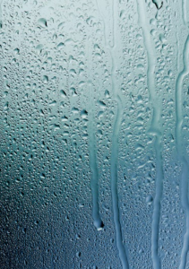 Condensation on a window pane