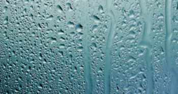 Condensation on a window pane