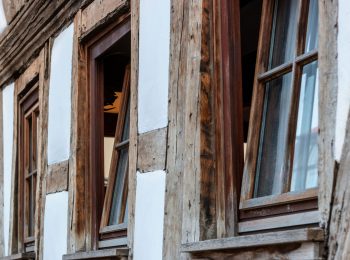 Timber tilt & turn window supplier